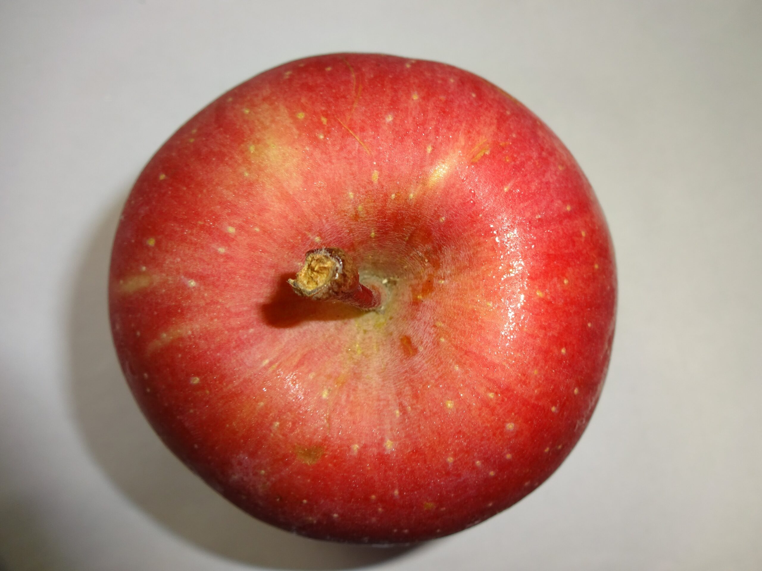 新聞の勧誘・続報(両親の食事)